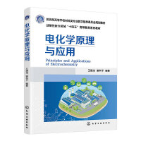 电化学原理与应用(王建淦)