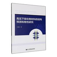 高压下硅化物材料的结构预测和物性研究