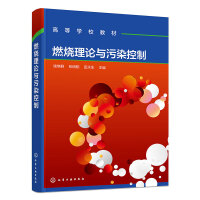 燃烧理论与污染控制(钱焕群)