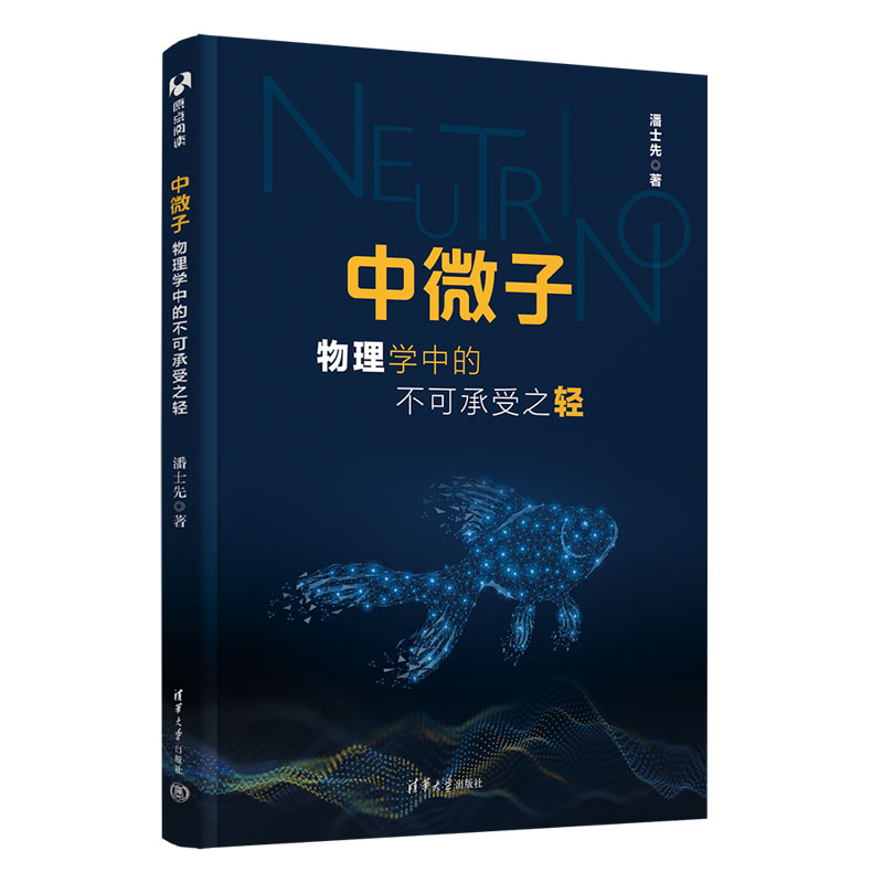 中微子：物理学中的不可承受之轻