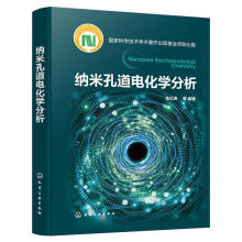 纳米孔道电化学分析