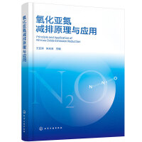 氧化亚氮减排原理与应用