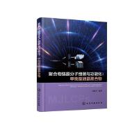 聚合物链超分子组装与功能化