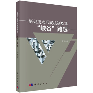 新兴技术形成机制及其"峡谷"跨越