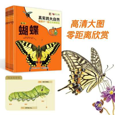 真实的大自然:给孩子一座自然博物馆:1:昆虫（全4册）