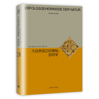 大自然成功的奥秘：协同学（睿文馆）