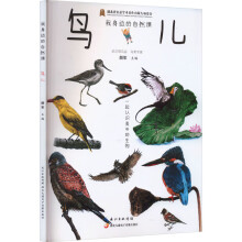 我身边的自然课