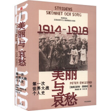  美丽与哀愁：第一次世界大战个人史