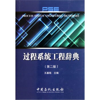 过程系统工程辞典（第2版）