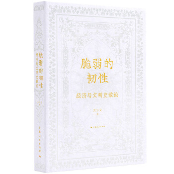  脆弱的韧性:经济与文明史散论