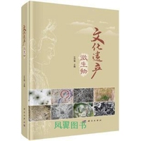 文化遗产微生物