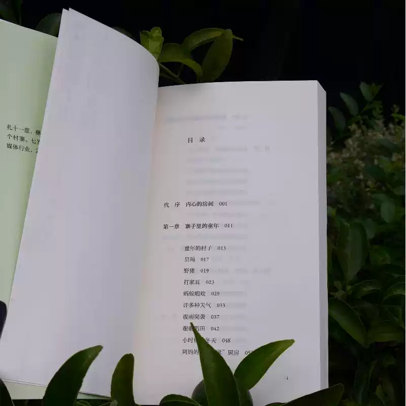 O1CN01qi9WB01FcFuQasveF_6000000000507-0-at.jpg_q50.jpg_