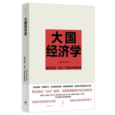 《大国经济学：面向长期、全局、多维的中国发展》陆铭 / 杨汝岱 / 上海人民出版社 / 2023-1