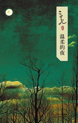 《温柔的夜》三毛 2007-1